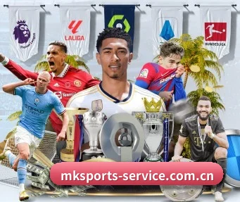 mk体育 APP